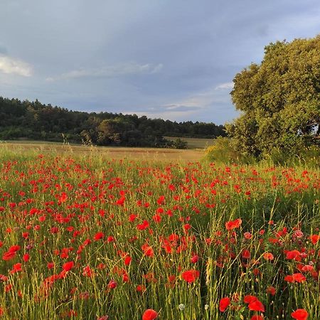Gite A La Campagne, Proche Carcassonne Alairac Exterior photo