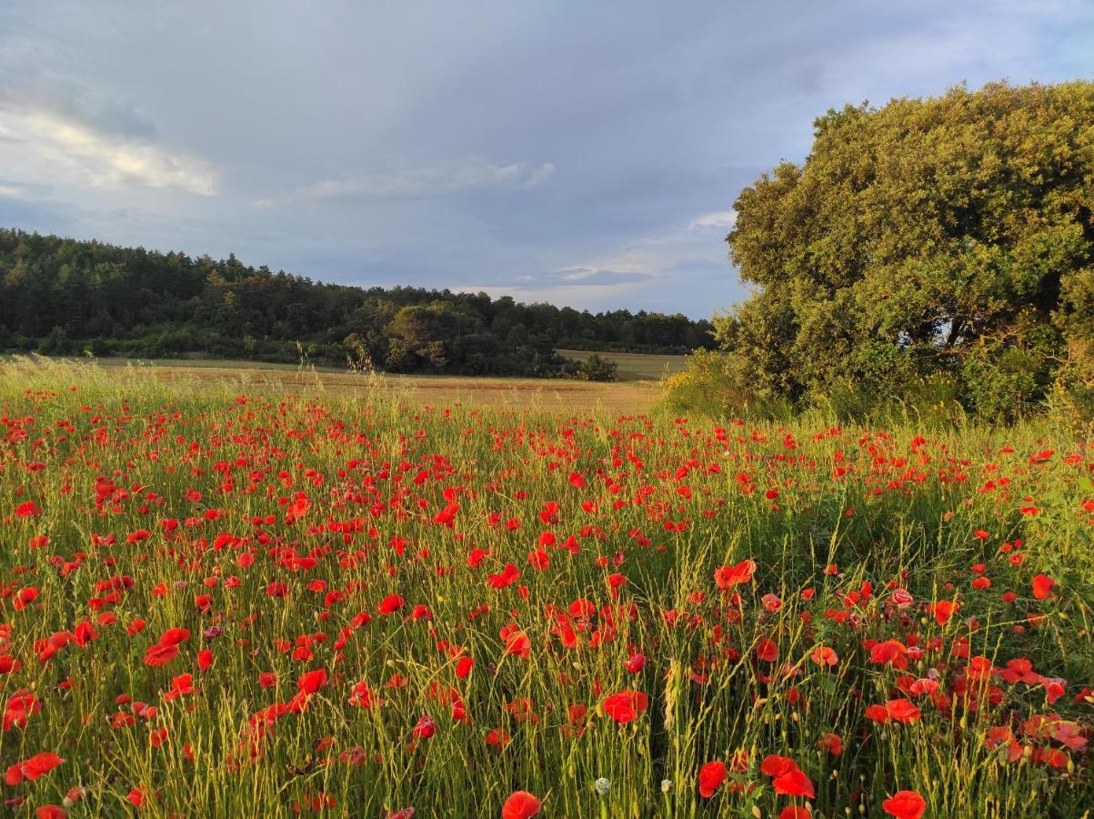 Gite A La Campagne, Proche Carcassonne Alairac Exterior photo